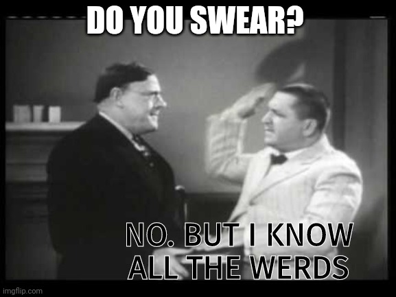 DO YOU SWEAR? NO. BUT I KNOW ALL THE WERDS | made w/ Imgflip meme maker