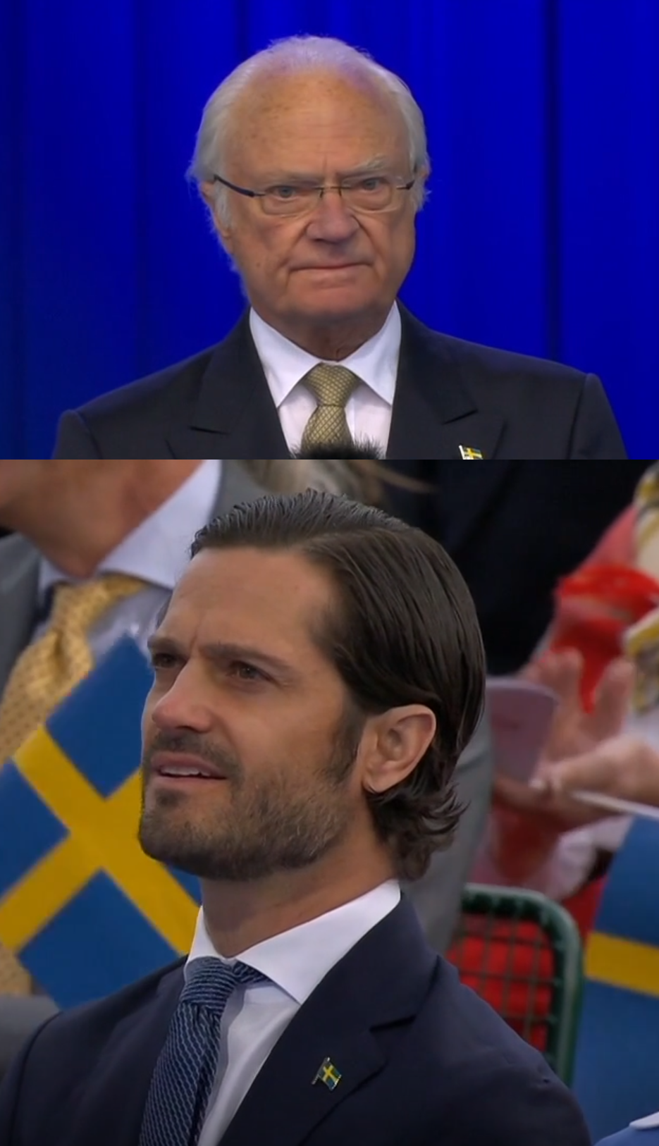 High Quality Swedish King National Day Speech 2022 Blank Meme Template