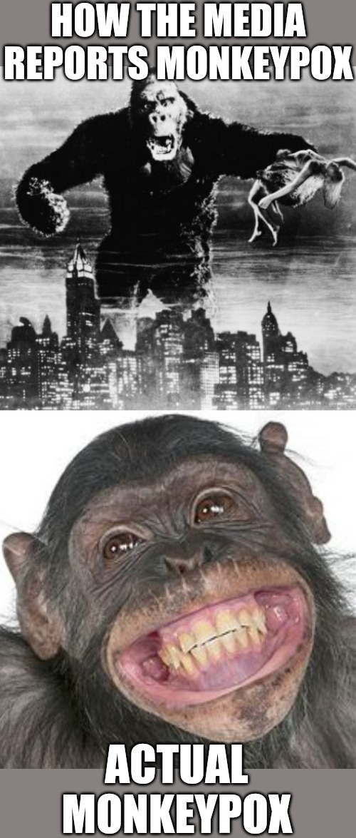 Monkeypocalypse Hype | HOW THE MEDIA REPORTS MONKEYPOX; ACTUAL MONKEYPOX | image tagged in smile monkey,monkeypox,monkey,media,hype,pandemic | made w/ Imgflip meme maker