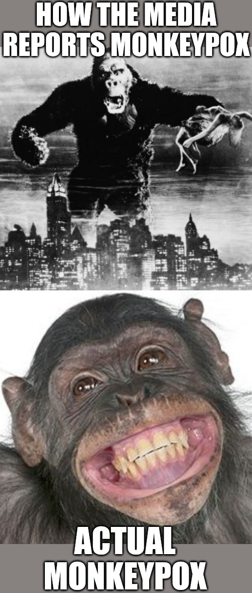 Monkeypox Memes That Will Make You Howl(er Monkey)