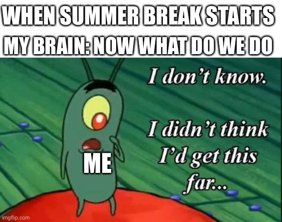 now what do I do | WHEN SUMMER BREAK STARTS; MY BRAIN: NOW WHAT DO WE DO; ME | image tagged in plankton i don't know i didnt think id get this far,idk | made w/ Imgflip meme maker