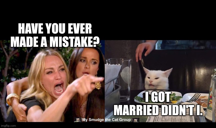 HAVE YOU EVER MADE A MISTAKE? I GOT MARRIED DIDN'T I. | image tagged in smudge the cat,woman yelling at cat | made w/ Imgflip meme maker