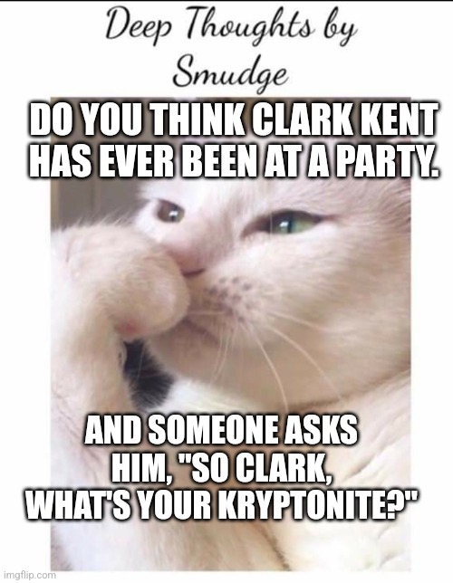 Smudge | DO YOU THINK CLARK KENT HAS EVER BEEN AT A PARTY. AND SOMEONE ASKS HIM, "SO CLARK, WHAT'S YOUR KRYPTONITE?" | image tagged in smudge | made w/ Imgflip meme maker