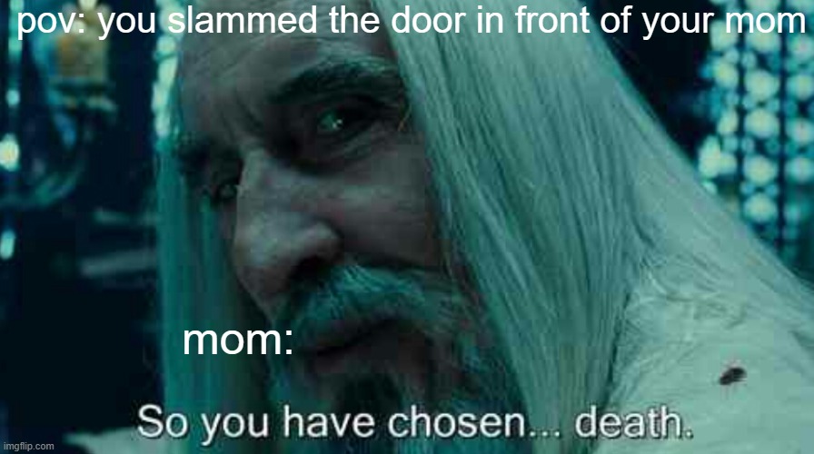 lol | pov: you slammed the door in front of your mom; mom: | image tagged in so you have chosen death | made w/ Imgflip meme maker