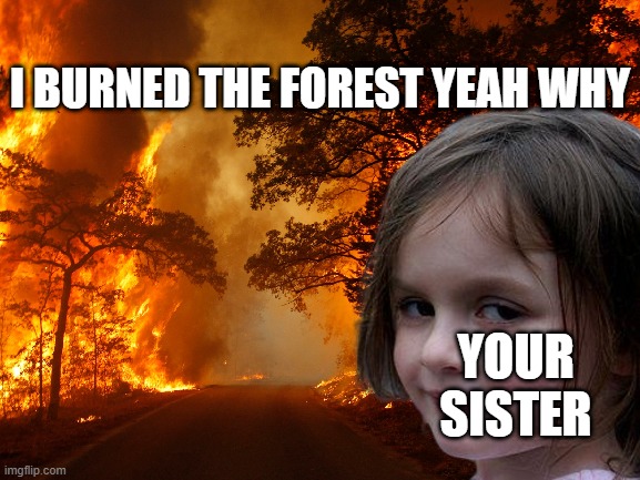 when your sister burn the forest | I BURNED THE FOREST YEAH WHY; YOUR SISTER | image tagged in disaster girl but it's wild fire | made w/ Imgflip meme maker