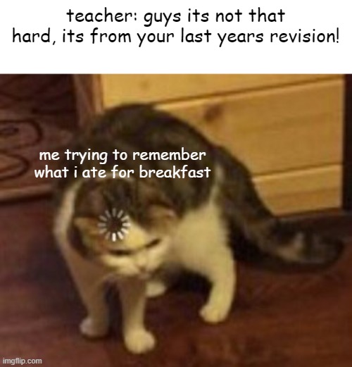 wait wha- | teacher: guys its not that hard, its from your last years revision! me trying to remember what i ate for breakfast | image tagged in loading cat | made w/ Imgflip meme maker