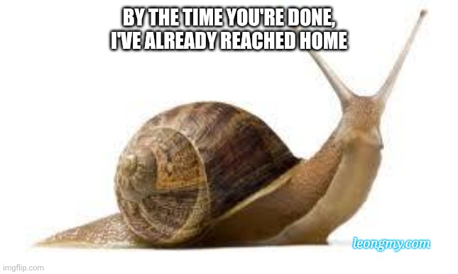 Slower than a snail | BY THE TIME YOU'RE DONE,
I'VE ALREADY REACHED HOME; leongmy.com | image tagged in snail,slow,slowpoke | made w/ Imgflip meme maker