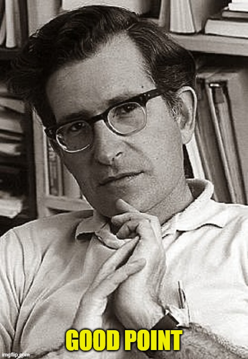 Noam Chomsky - 1970 | GOOD POINT | image tagged in noam chomsky - 1970 | made w/ Imgflip meme maker