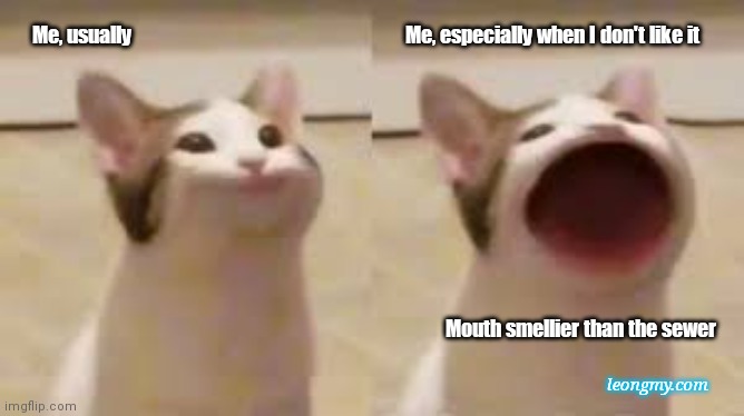 Mouth smellier than sewer |  Me, usually; Me, especially when I don't like it; Mouth smellier than the sewer; leongmy.com | image tagged in pop cat,potty mouth,loud mouth,mouth,big mouth,irritated | made w/ Imgflip meme maker