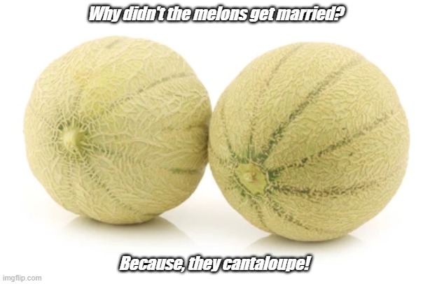 Dad Joke Of The Day | Why didn't the melons get married? Because, they cantaloupe! | image tagged in dad joke meme,melons,cantaloupe | made w/ Imgflip meme maker