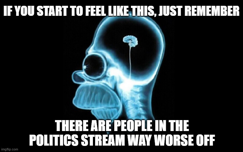 homer brain | IF YOU START TO FEEL LIKE THIS, JUST REMEMBER; THERE ARE PEOPLE IN THE POLITICS STREAM WAY WORSE OFF | image tagged in homer brain | made w/ Imgflip meme maker