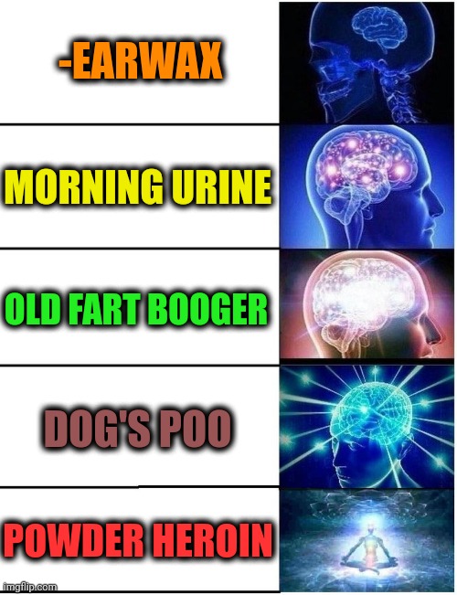 -Ladder to the ugly things. | -EARWAX; MORNING URINE; OLD FART BOOGER; DOG'S POO; POWDER HEROIN | image tagged in expanding brain 5 panel,heroin,don't do drugs,old fart,boogers,dog poop | made w/ Imgflip meme maker