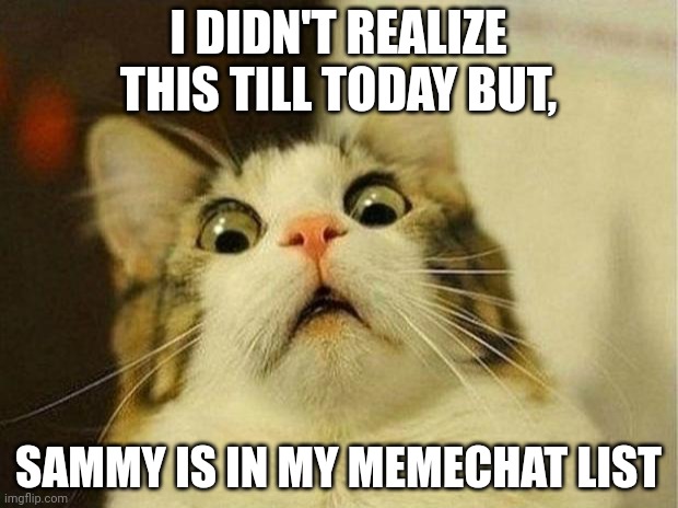 I'm terrified | I DIDN'T REALIZE THIS TILL TODAY BUT, SAMMY IS IN MY MEMECHAT LIST | image tagged in memes,scared cat,s o u p,soup | made w/ Imgflip meme maker