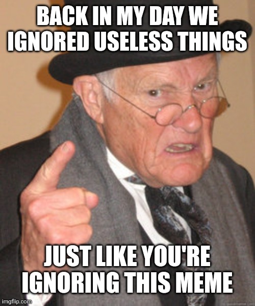 Back In My Day |  BACK IN MY DAY WE IGNORED USELESS THINGS; JUST LIKE YOU'RE IGNORING THIS MEME | image tagged in memes,back in my day | made w/ Imgflip meme maker