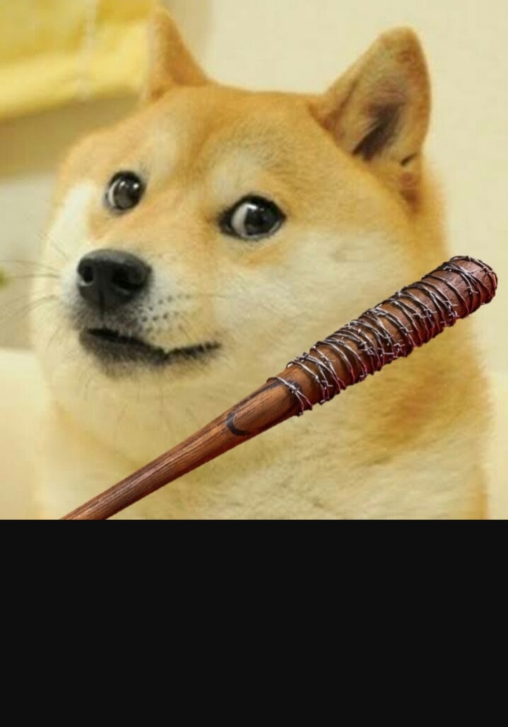 High Quality DOGE WITH DANDA Blank Meme Template