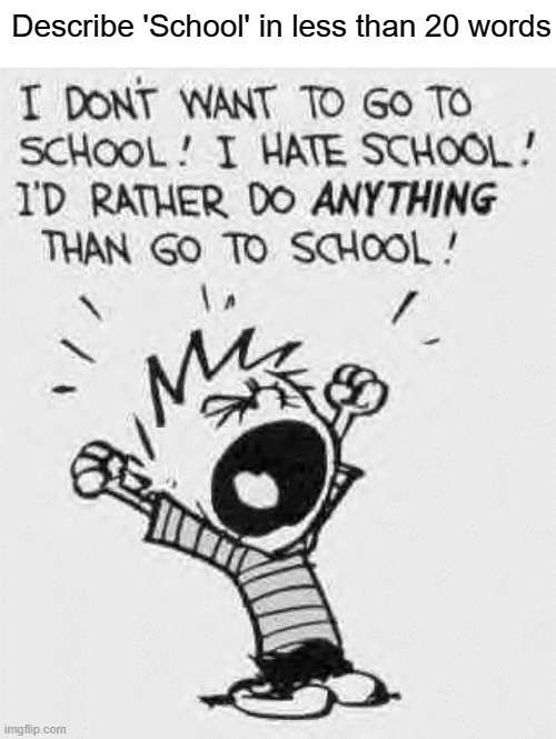 Basically Every Kid Ever |  Describe 'School' in less than 20 words | image tagged in school,calvin and hobbes,mood | made w/ Imgflip meme maker