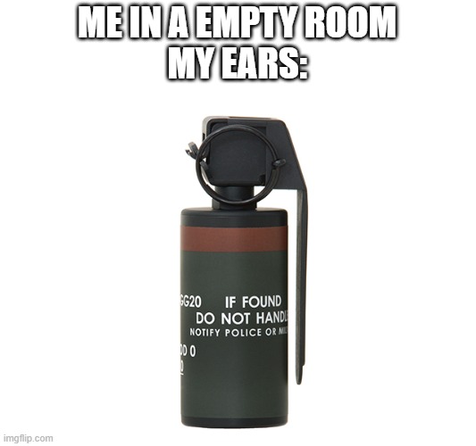 my ears | ME IN A EMPTY ROOM
MY EARS: | image tagged in memes,funny memes | made w/ Imgflip meme maker