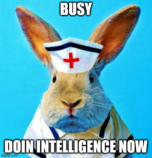 BUSY; DOIN INTELLIGENCE NOW | made w/ Imgflip meme maker