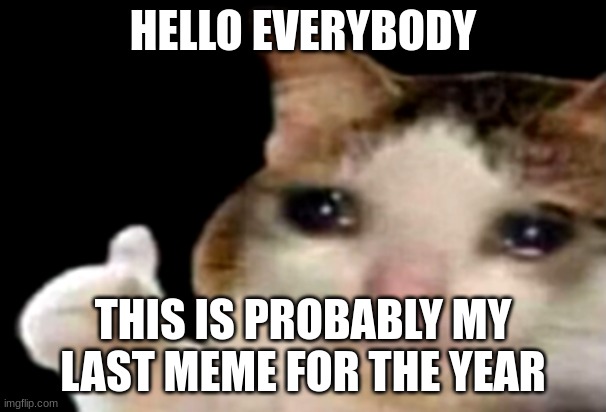 See ya'll | HELLO EVERYBODY; THIS IS PROBABLY MY LAST MEME FOR THE YEAR | image tagged in sad cat thumbs up | made w/ Imgflip meme maker