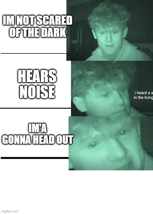Every Kid at night | IM NOT SCARED OF THE DARK; HEARS NOISE; IM'A GONNA HEAD OUT | image tagged in memes,kids are stupid | made w/ Imgflip meme maker