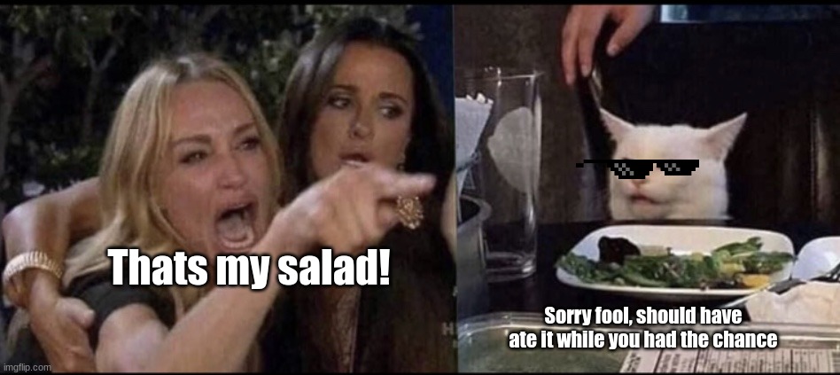 Karen salad | Thats my salad! Sorry fool, should have ate it while you had the chance | image tagged in karen carpenter and smudge cat,funny memes,salad cat,karens | made w/ Imgflip meme maker