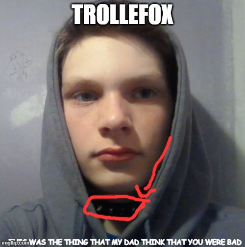 or a stranger | TROLLEFOX; THIS WAS THE THING THAT MY DAD THINK THAT YOU WERE BAD | image tagged in trollefox | made w/ Imgflip meme maker