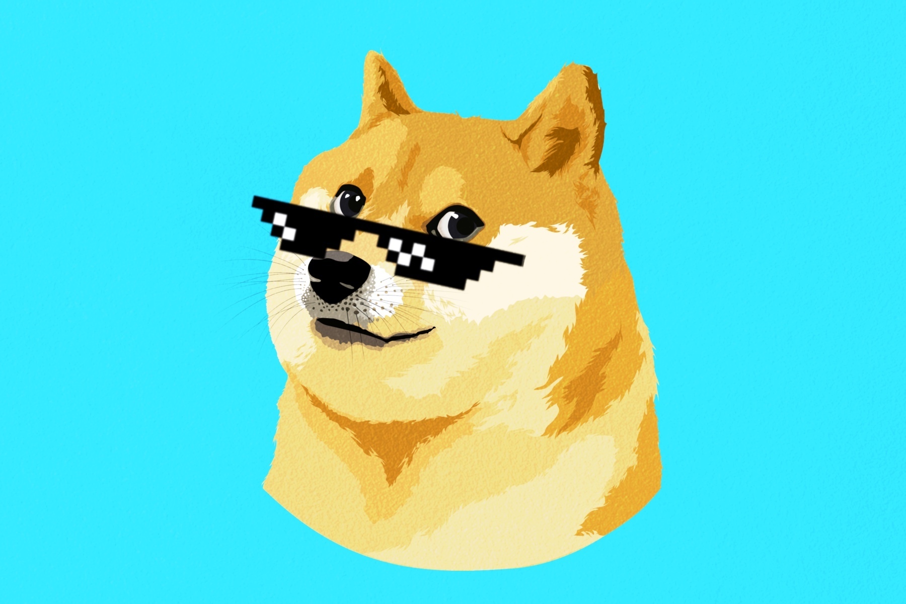 Doge Blank Meme Template