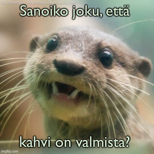 Sanoiko joku, että; kahvi on valmista? | made w/ Imgflip meme maker