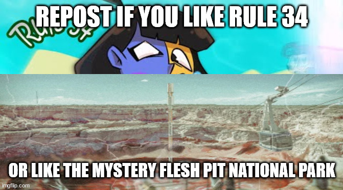 choice is yours | REPOST IF YOU LIKE RULE 34; OR LIKE THE MYSTERY FLESH PIT NATIONAL PARK | made w/ Imgflip meme maker