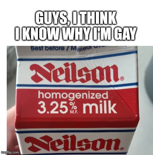 I finally figured it out! | GUYS, I THINK I KNOW WHY I'M GAY | image tagged in blank | made w/ Imgflip meme maker