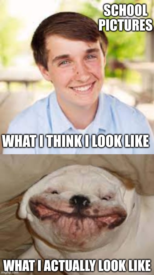 Fakts | SCHOOL PICTURES; WHAT I THINK I LOOK LIKE; WHAT I ACTUALLY LOOK LIKE | image tagged in doggo | made w/ Imgflip meme maker