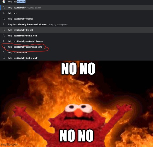 NO NO; NO NO | image tagged in elmo fire,help i accidentally,memes | made w/ Imgflip meme maker