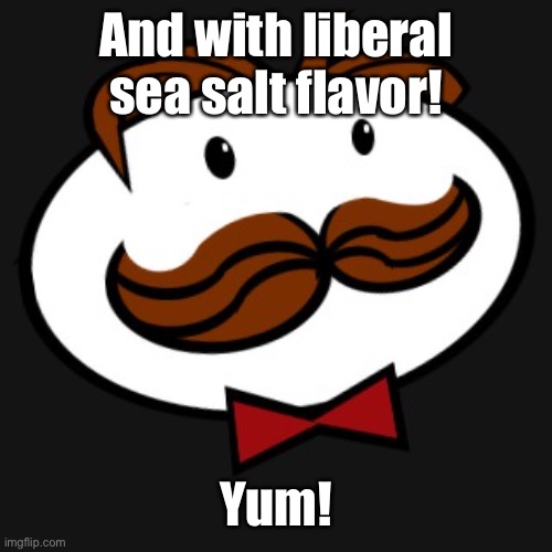 pringles | And with liberal sea salt flavor! Yum! | image tagged in pringles | made w/ Imgflip meme maker