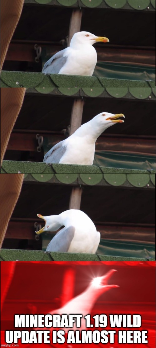 attention | MINECRAFT 1.19 WILD UPDATE IS ALMOST HERE | image tagged in memes,inhaling seagull | made w/ Imgflip meme maker