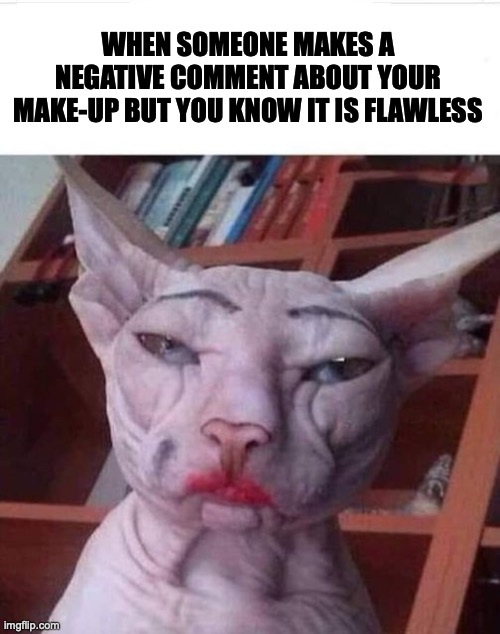 you look flawless | WHEN SOMEONE MAKES A NEGATIVE COMMENT ABOUT YOUR MAKE-UP BUT YOU KNOW IT IS FLAWLESS | image tagged in flawless | made w/ Imgflip meme maker