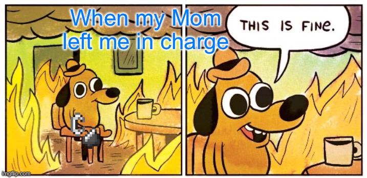 This Is Fine | When my Mom left me in charge | image tagged in memes,this is fine | made w/ Imgflip meme maker