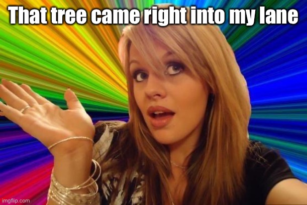 Dumb Blonde Meme | That tree came right into my lane | image tagged in memes,dumb blonde | made w/ Imgflip meme maker