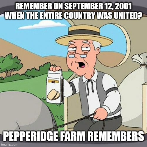 I have a feeling it wouldn't be the same if it happened today. | REMEMBER ON SEPTEMBER 12, 2001 WHEN THE ENTIRE COUNTRY WAS UNITED? PEPPERIDGE FARM REMEMBERS | image tagged in memes,pepperidge farm remembers | made w/ Imgflip meme maker