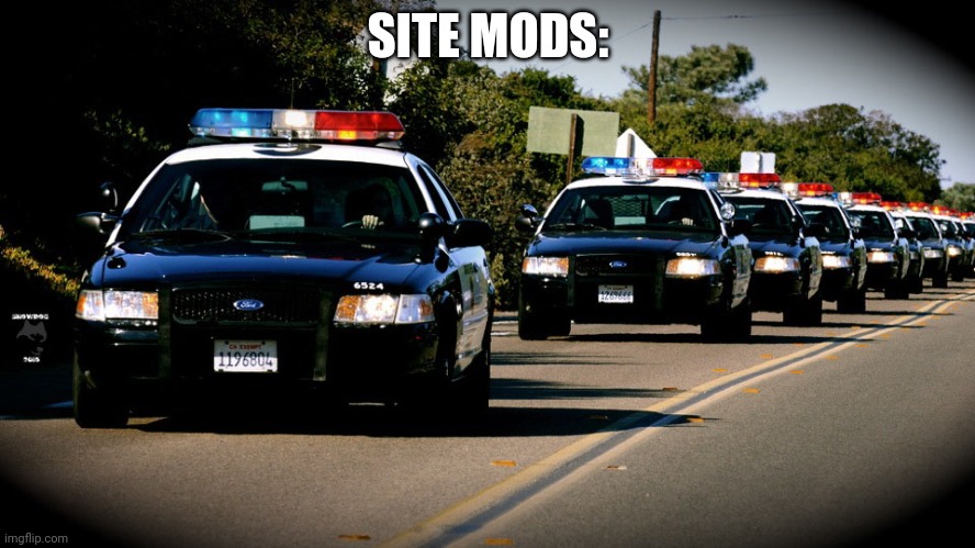 cop cars | SITE MODS: | image tagged in cop cars | made w/ Imgflip meme maker