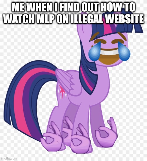 twilight sparkle | ME WHEN I FIND OUT HOW TO WATCH MLP ON ILLEGAL WEBSITE | image tagged in mlp,mylittlepony,twilight sparkle | made w/ Imgflip meme maker
