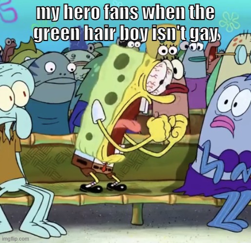 Spongebob Yelling | my hero fans when the green hair boy isn't gay | image tagged in spongebob yelling | made w/ Imgflip meme maker