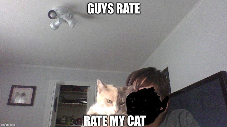 No im not revealing my face | GUYS RATE; RATE MY CAT | image tagged in cet | made w/ Imgflip meme maker