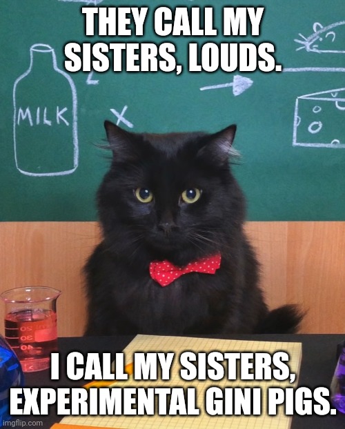 Lisa Loud be like: |  THEY CALL MY SISTERS, LOUDS. I CALL MY SISTERS, EXPERIMENTAL GINI PIGS. | image tagged in chemistry cat v2,the loud house,science,chemistry cat,memes,funny | made w/ Imgflip meme maker