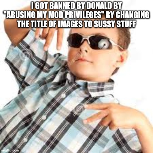 Cool kid sunglasses | I GOT BANNED BY DONALD BY "ABUSING MY MOD PRIVILEGES" BY CHANGING THE TITLE OF IMAGES TO SUSSY STUFF | image tagged in cool kid sunglasses | made w/ Imgflip meme maker