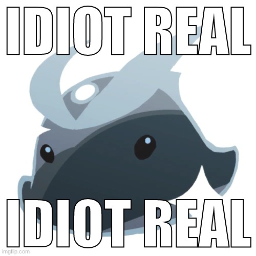 IDIOT REAL; IDIOT REAL | made w/ Imgflip meme maker