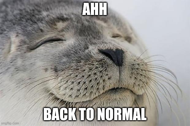 Satisfied Seal Meme | AHH BACK TO NORMAL | image tagged in memes,satisfied seal | made w/ Imgflip meme maker