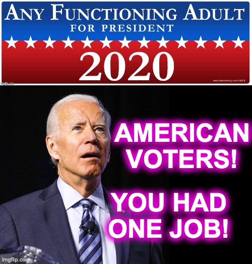AMERICAN VOTERS! YOU HAD ONE JOB! | image tagged in joe biden,black box | made w/ Imgflip meme maker