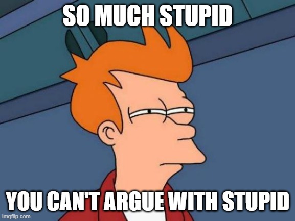 Futurama Fry | SO MUCH STUPID; YOU CAN'T ARGUE WITH STUPID | image tagged in memes,futurama fry | made w/ Imgflip meme maker