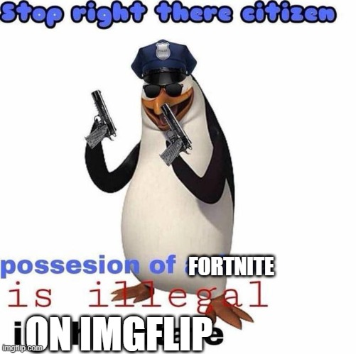 Stop right there citizen | FORTNITE ON IMGFLIP | image tagged in stop right there citizen | made w/ Imgflip meme maker