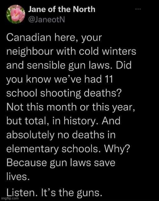 A Canadian weighs in with common sense. | image tagged in jane of the north,canada,guns,gun control,mass shootings,school shootings | made w/ Imgflip meme maker